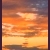 :iconlooktonature: