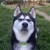 :iconloonarfange: