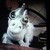 :iconloonyspaceunicorn: