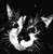 :iconloopedgiraffe: