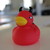 :iconloopstart:
