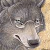 :iconloopy-garou: