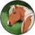 :iconloppan1: