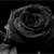 :iconlopsidedheart: