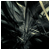 :iconloqutus: