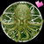 :iconlord-cthulhu: