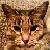 Lord-Daemonicus :iconlord-daemonicus: