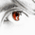 :iconlord-nosferatu:
