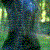 :iconlord-of-tyranny: