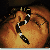 :iconlord-zax: