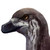 :iconlordarkrai: