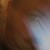 :iconlordbezalel: