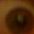 :iconlordbudhamonk: