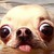 :iconlorddae: