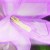 :iconlordess-lilly: