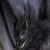 :iconlordfinny: