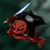 :iconlordgamabunta: