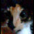 :iconlordlollypop: