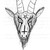 :iconlordriley666: