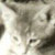 :iconlordsmoothe: