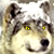 :iconlordvaynard: