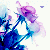 :iconLORELEIrose:
