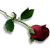 :iconloreley59: