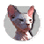 :iconlorembolo: