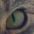 :iconlorenajoker: