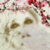 :iconlorielei: