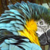 :iconlorisilverstar: