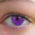 :iconlorista: