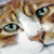 :iconlorjanne: