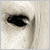 :iconlorline: