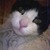 :iconlorri07: