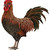 :iconlors555: