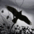 :iconloseflight: