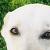 :iconloser-boy: