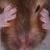 :iconloserkidnic2: