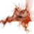 :iconlosillewen: