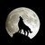 :iconlost-hero-of-time: