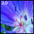 :iconlost-inconfusion: