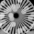 :iconlost-insecure: