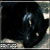 :iconlost-n-empty: