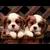 :iconLost-Rainbow: