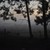 :iconlost-resistance:
