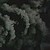 :iconlost-shadow-creature: