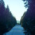 LostAmongFriends :iconlostamongfriends:
