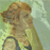 :iconlostblackhat: