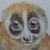 :iconlostferret: